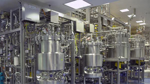 蒸馏和发酵系统