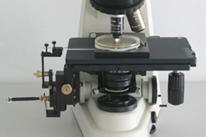 NIKON显微镜